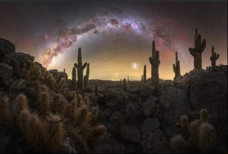 'Valle de los Cactus' – En San Pedro de Atacama, Chile. Panorámica de la vía láctea en una zona remota del valle de los cactus .