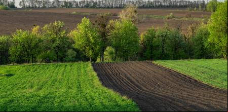 Spring landscape with arable land, field and power line in the hills.