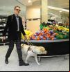 Las personas con perros de asistencia podrán acceder a espacios públicos con él