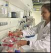 134 investigadoras UPC, en el ranking de científicas más destacadas publicado por el CSIC