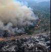 Los bosques tropicales del mundo menguan a ritmo récord por el aumento de incendios forestales