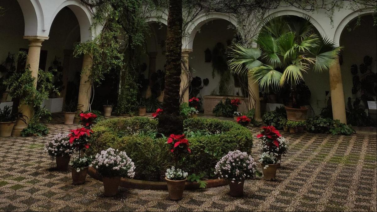 La Navidad primaveral de los patios de Córdoba