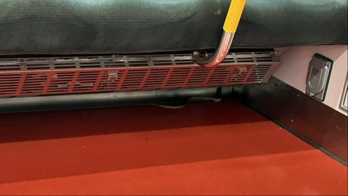 Pánico en un vagón de tren en Tokio por la aparición de una serpiente debajo de un asiento