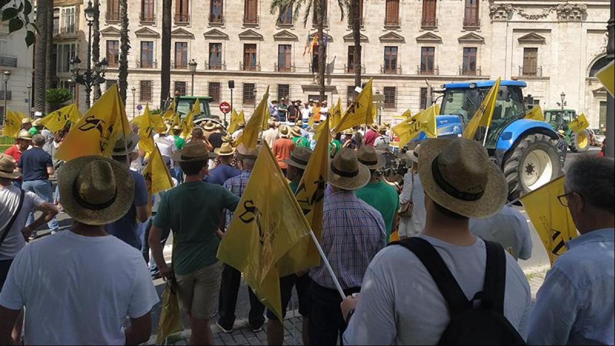 La protesta agrícola no amaina y una tractorada se planta ante el Gobierno en València