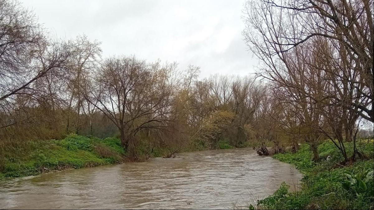 Madrid activa las alertas ante un posible desbordamiento del río Manzanares