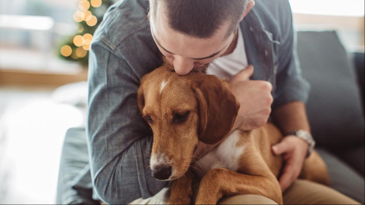 “El duelo por un animal es real y puede ser tan incapacitante como el de una persona; merece reconocimiento y sensibilidad”: ¿Puedo faltar al trabajo si mi perro o gato muere?