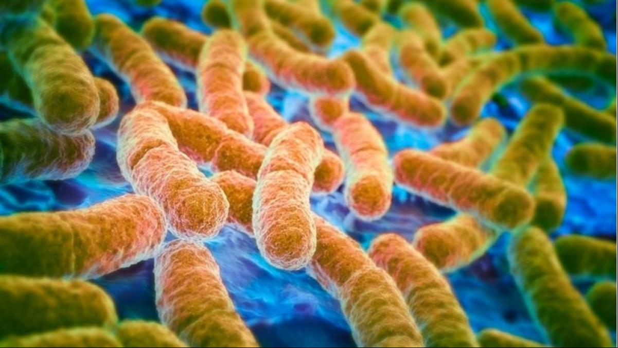 Crecen las tasas de cáncer colorrectal entre los jóvenes