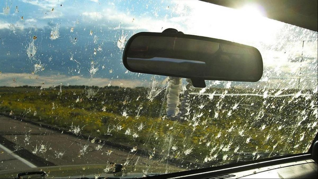Mario Picazo vincula este detalle en la luna del coche con el cambio climático: Hoy ya no pasa