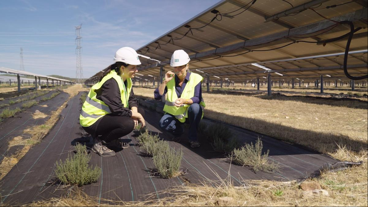 Mucho más que energía solar: agricultura, empleo e impacto social de Cáceres a Badajoz