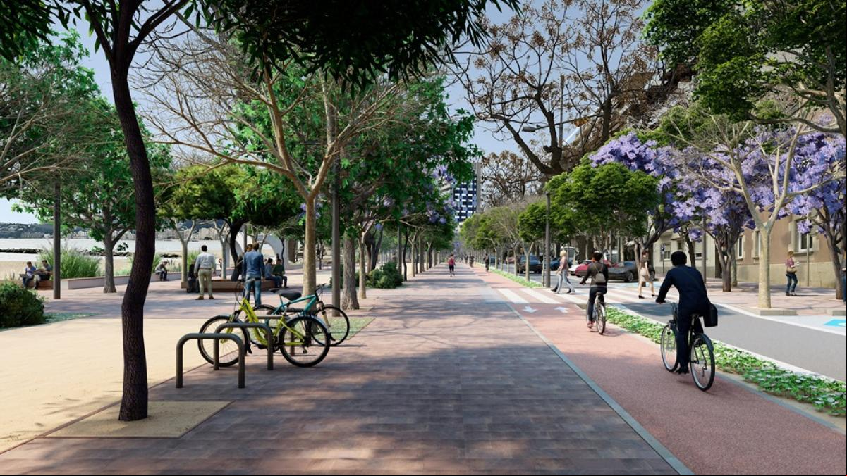 Críticas de vecinos y ecologistas por la tala de árboles durante las obras de reforma del paseo marítimo de Palamós