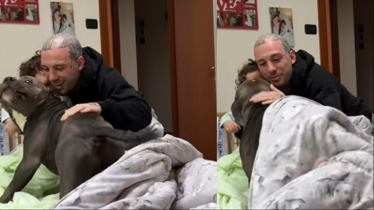 Los adorables saludos de buenos días de un american stafford a su hermanito humano recién levantado: “Hace que nuestro día sea mejor”