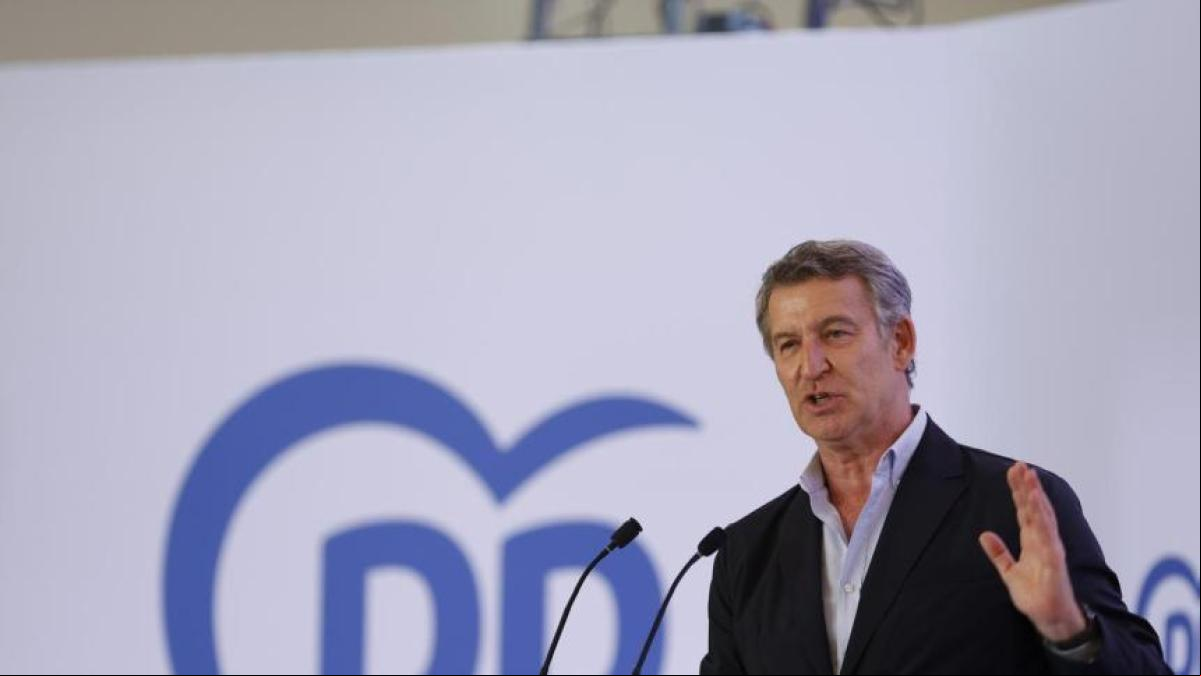 Feijóo llama a “rebelarse” contra la “involución democrática” que vive España Feijóo llama a “rebelarse” contra la “involución democrática” que vive España