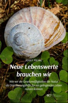 NEUE LEBENSWERTE BRAUCHEN WIR EBOOK