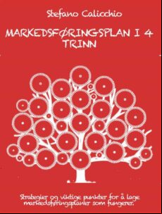 MARKEDSFØRINGSPLAN I 4 TRINN EBOOK
