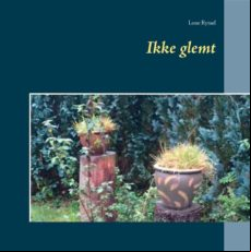 Ikke Glemt (ebook)