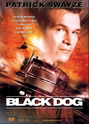 Black Dog Black Dog