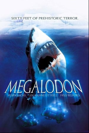 Megalodon Megalodon