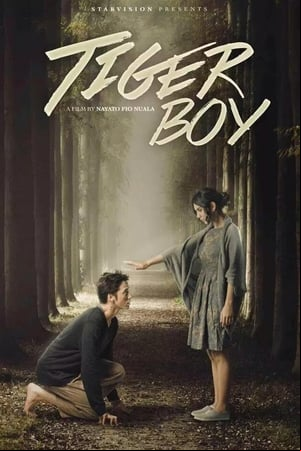 Tiger Boy Tiger Boy
