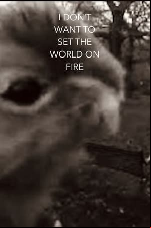 I Dont Want To Set The World On Fire