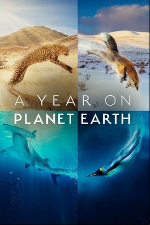 A Year on Planet Earth A Year on Planet Earth
